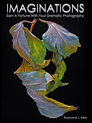 cover image of Imaginations